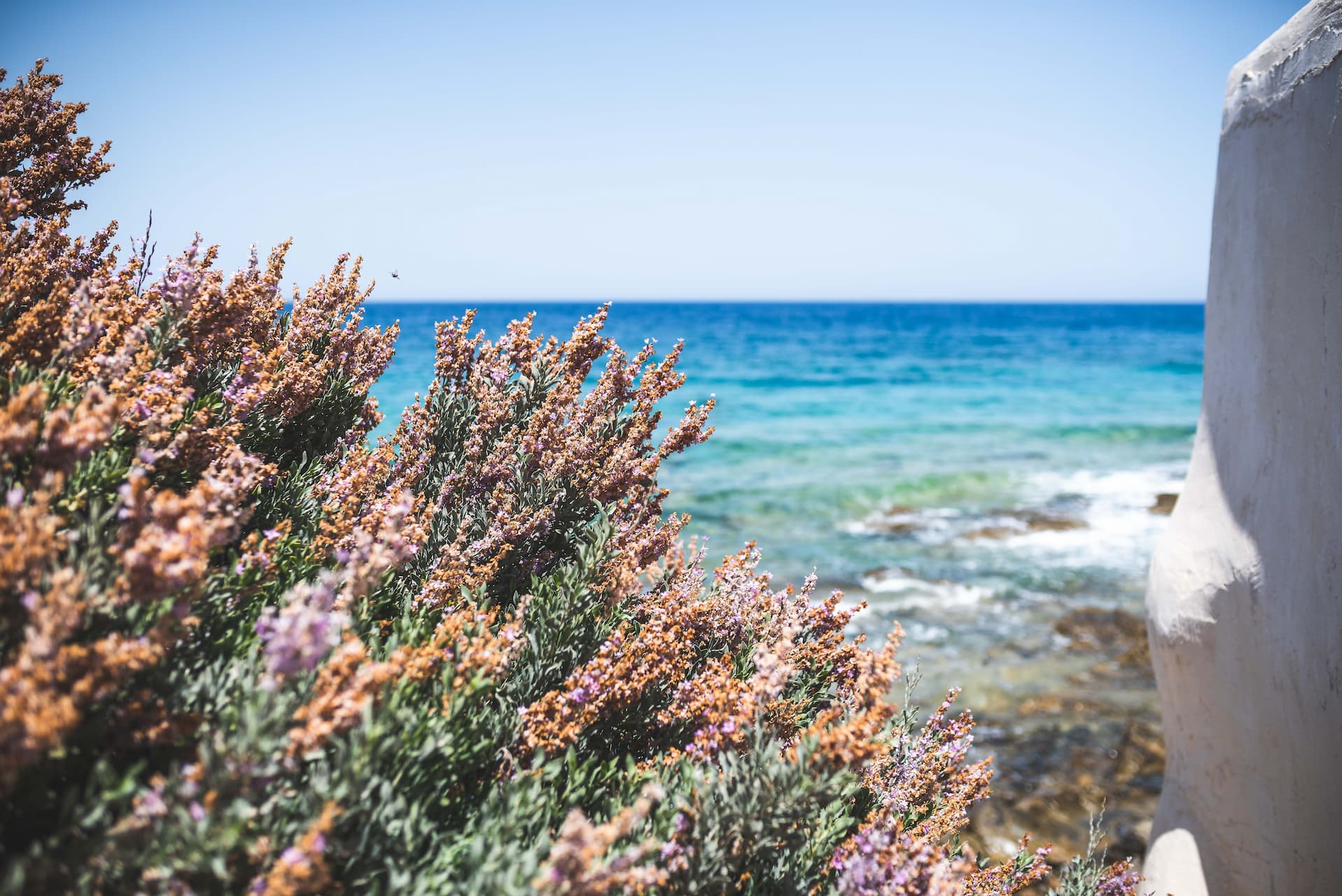 Home 3